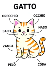 nombres italianos para gatos vocabulario