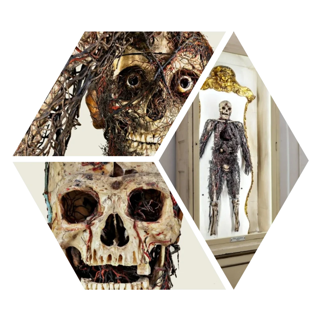Sansevero maquinas anatómicas